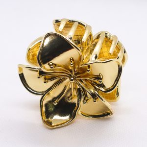 Saffron claw clip