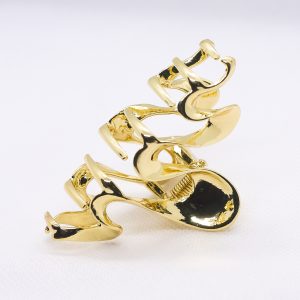Twisted claw clip