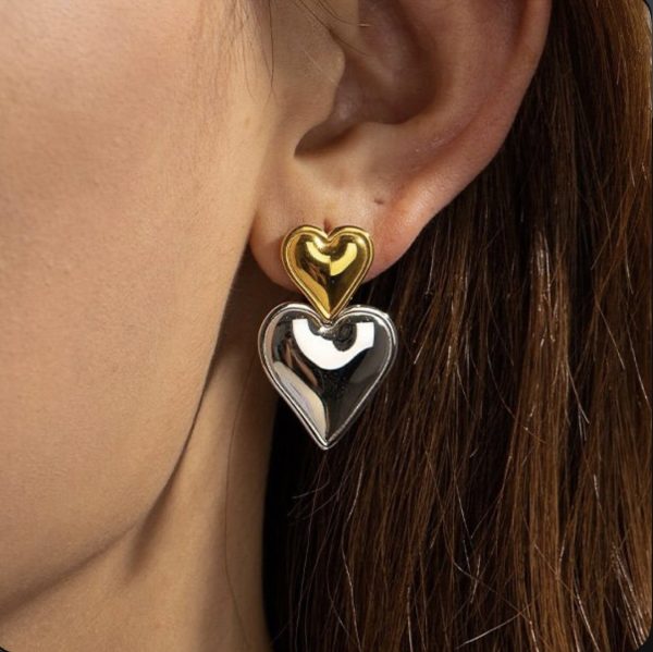 Duo toned twin hearts earrings