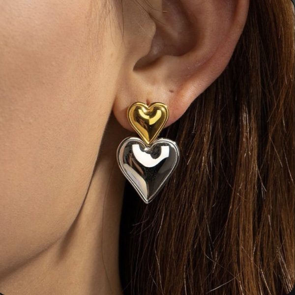 Duo toned twin hearts earrings