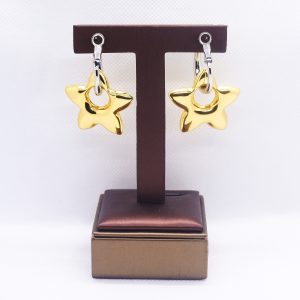Star two-way hoop duo-tone earrings