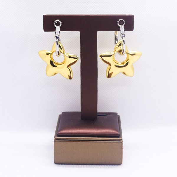 Star two-way hoop duo-tone earrings