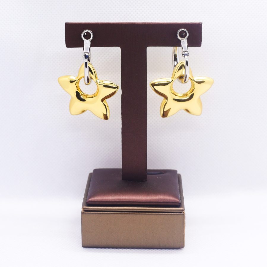Star two-way hoop duo-tone earrings